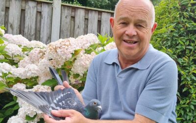 Agenda Algemene Ledenvergadering